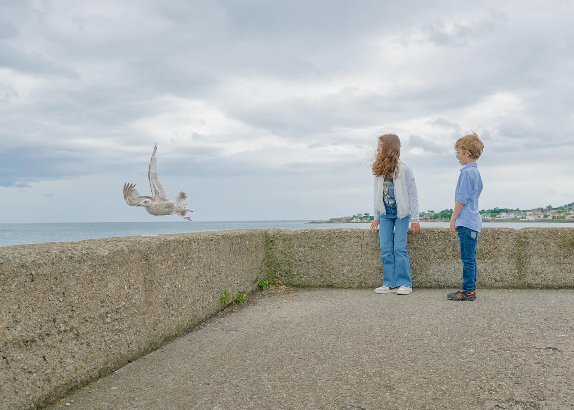 Everything You Need to Know About an Outdoor Family Photoshoot in Dublin