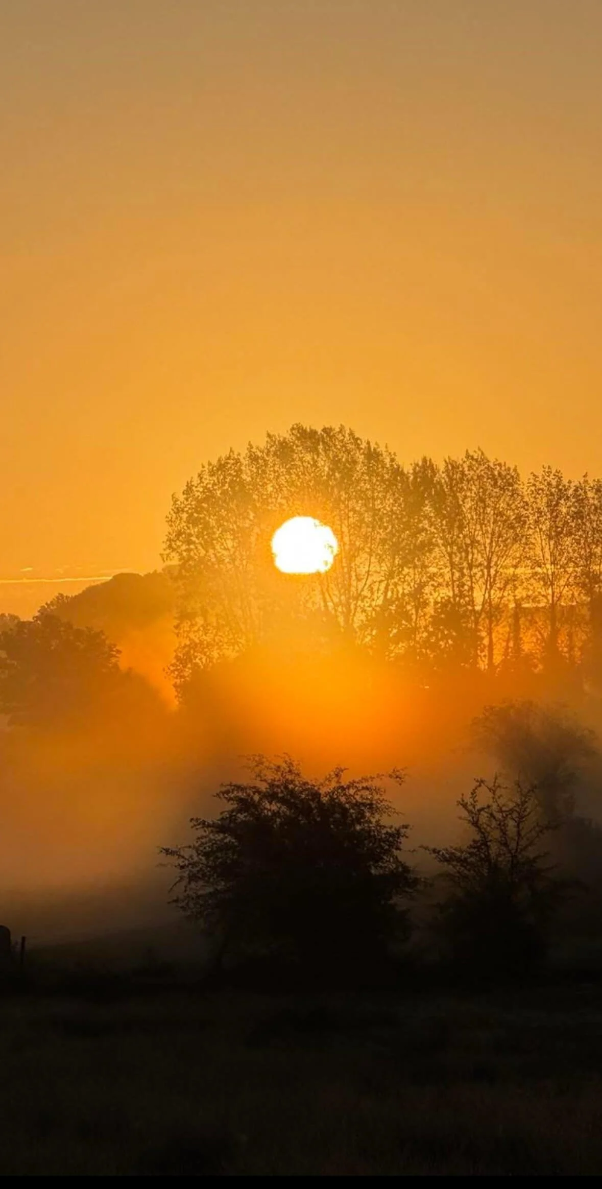 Sun glow landscape © Ian Clark Photography