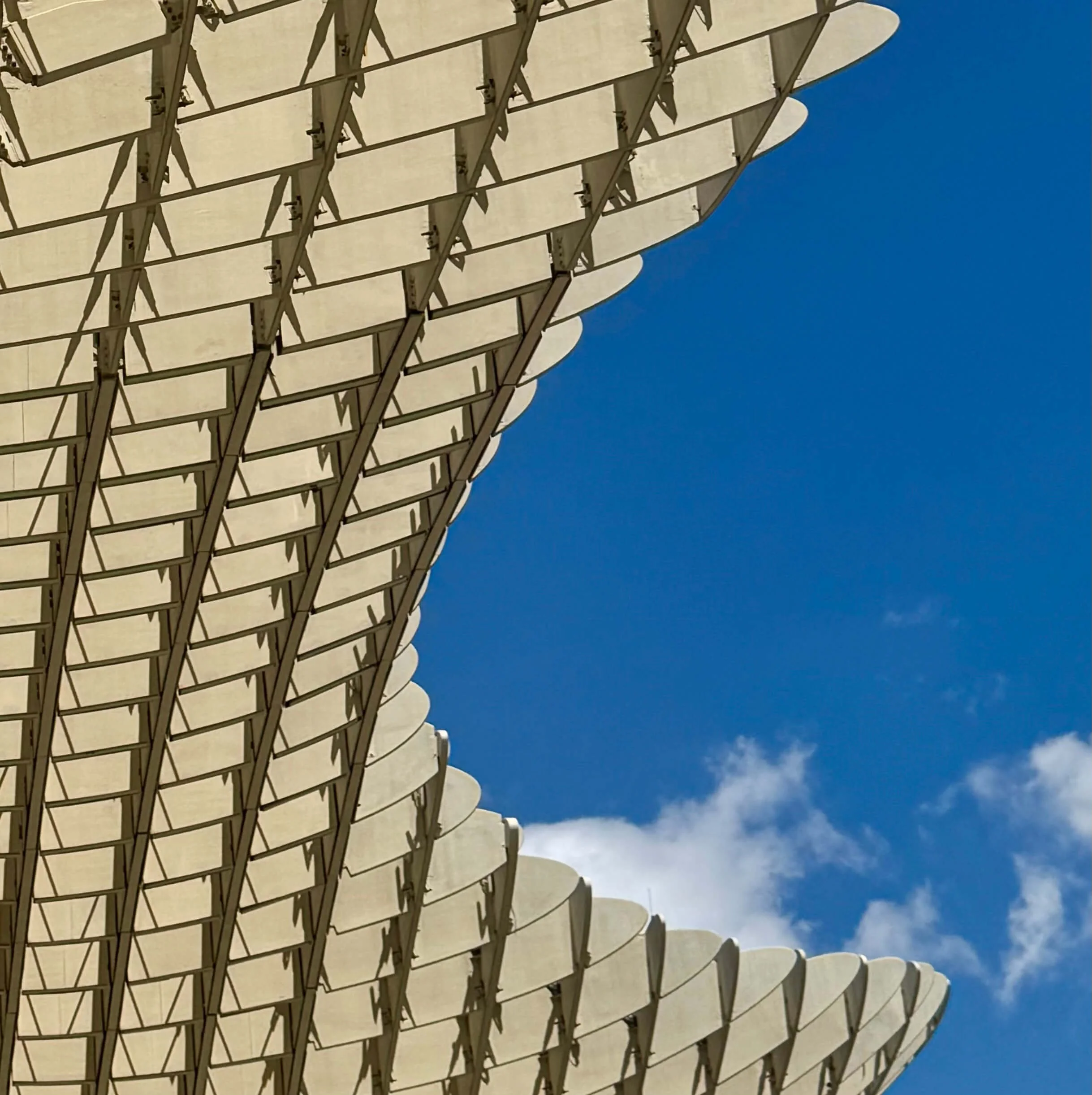 Setas de Sevilla, Seville, Spain © Ian Clark Photography