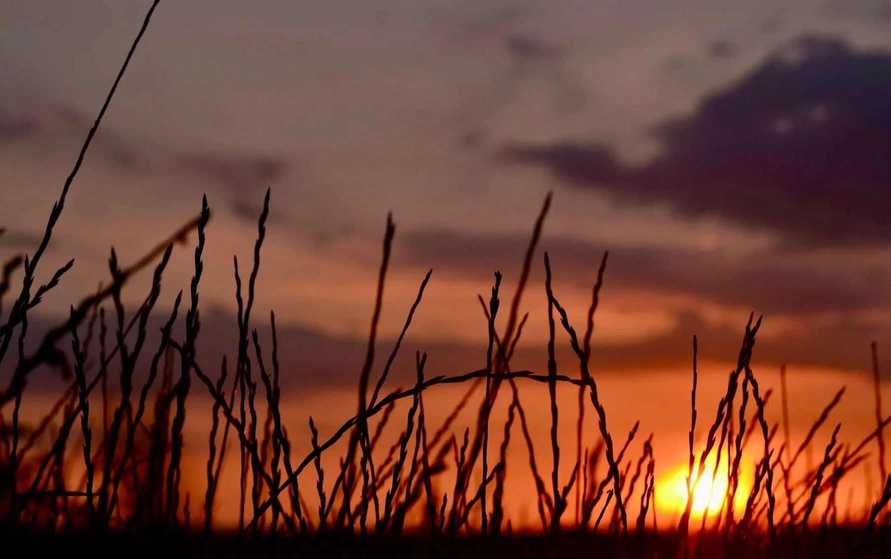 Sunset © Ian Clark Photography