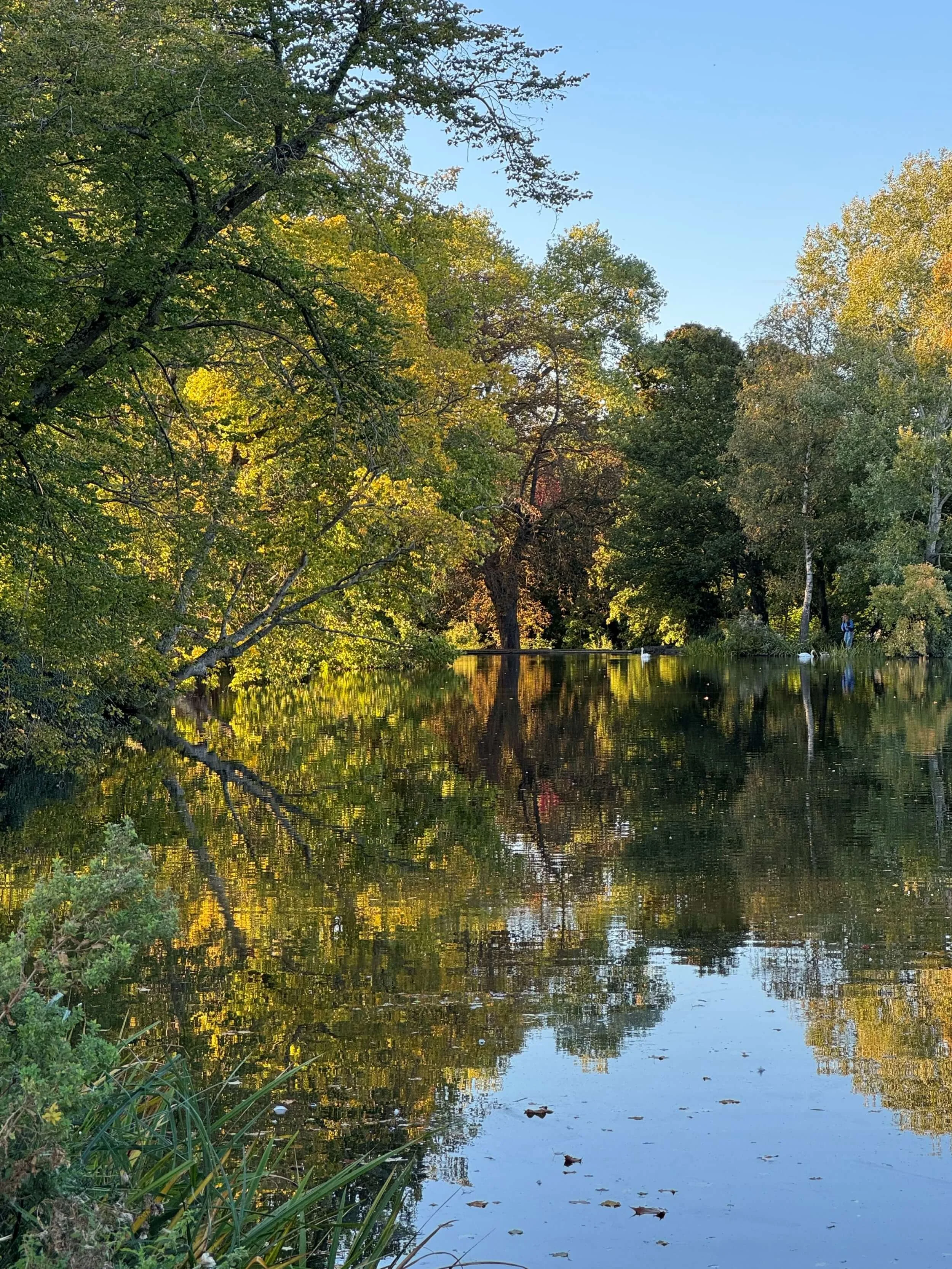 Lake reflections © Ian Clark Photography