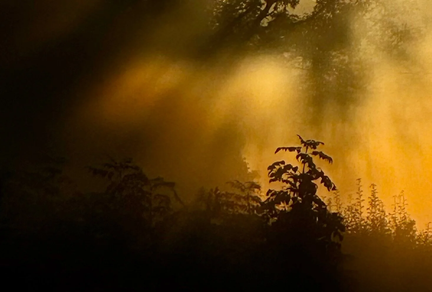 Atmospheric, sunlight © Ian Clark Photography