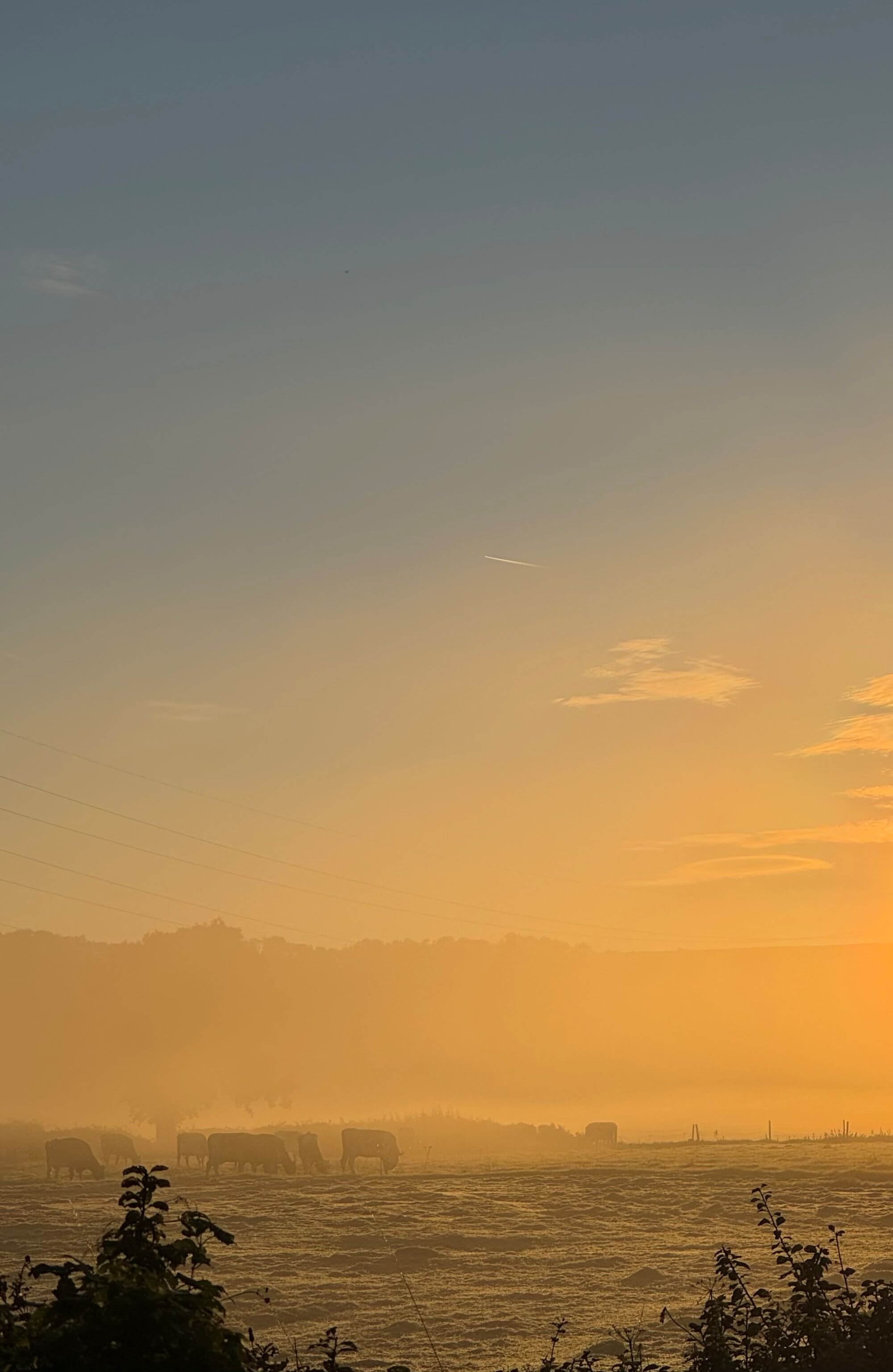 Misty morning glow © Ian Clark Photography