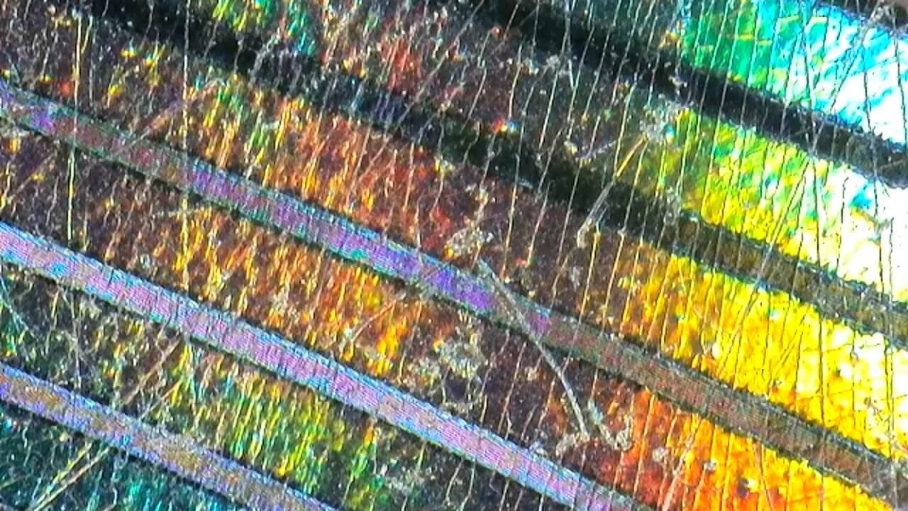 Abstract no. 2 © Ian Clark Photography