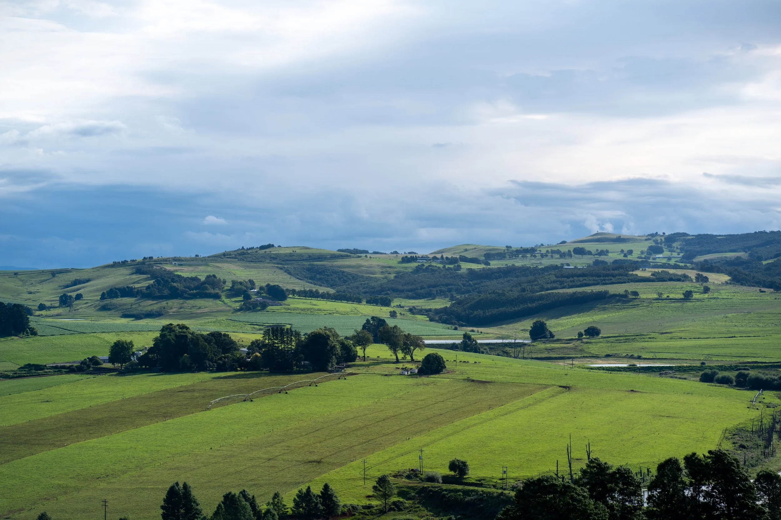 Saddle and Trout Holiday-115.jpg