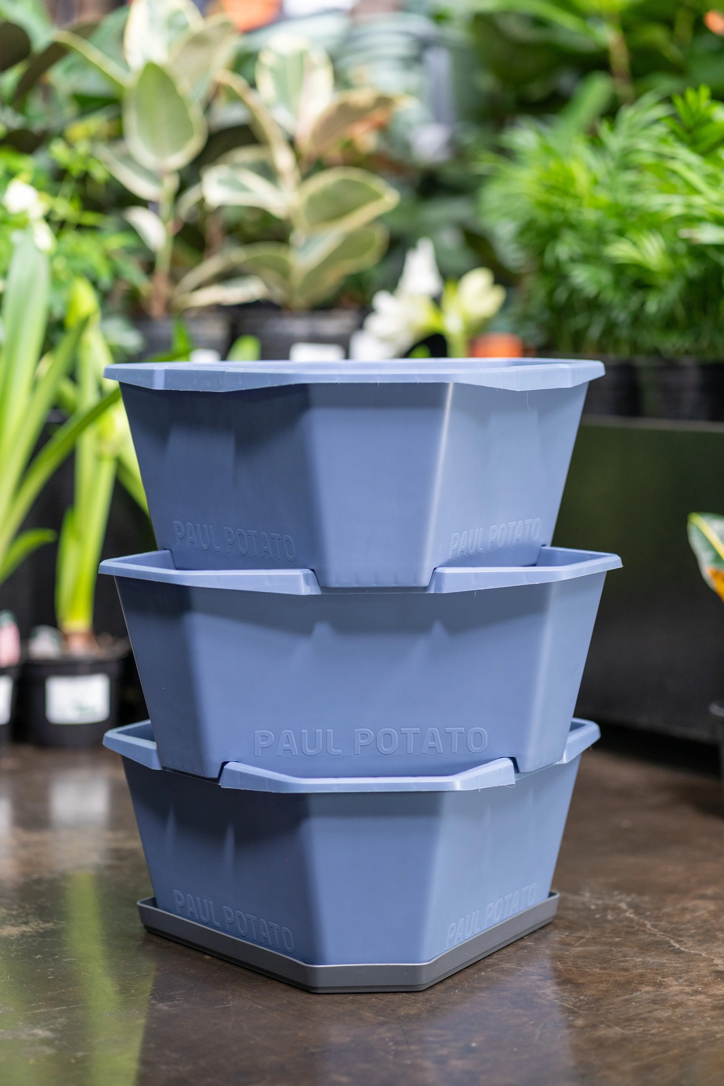 Product photography of Paul Potato Gusta Garden product for Kirchhoffs and GroPak. High-quality imagery showcasing the products for e-commerce, marketing, and brand campaigns.