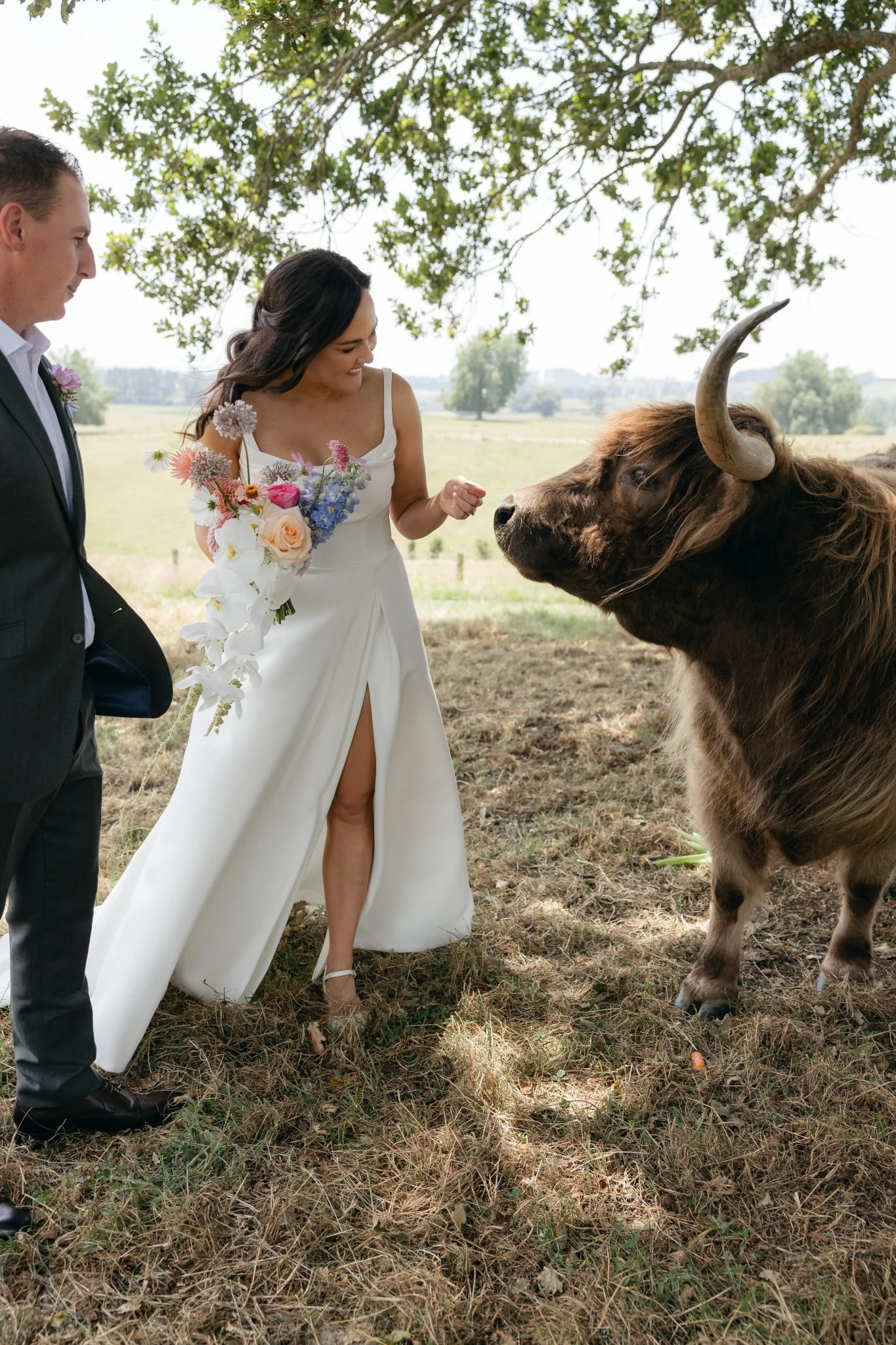 A bride in a white wedding dress interacting with a large horned bull, with a groom standing nearby, outdoors under a tree.