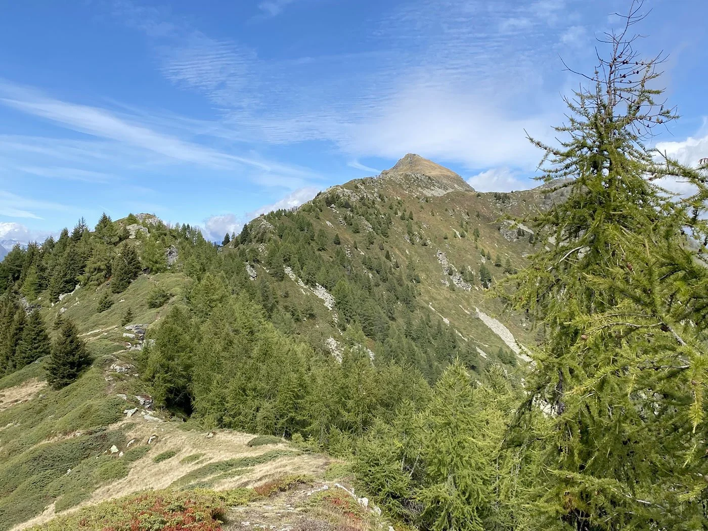 10 – Pianca Bella - Croce di Sasso