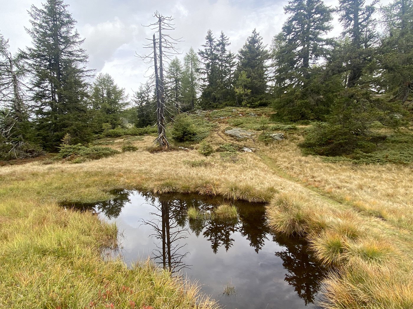 3 – Bassa dei Cantoi