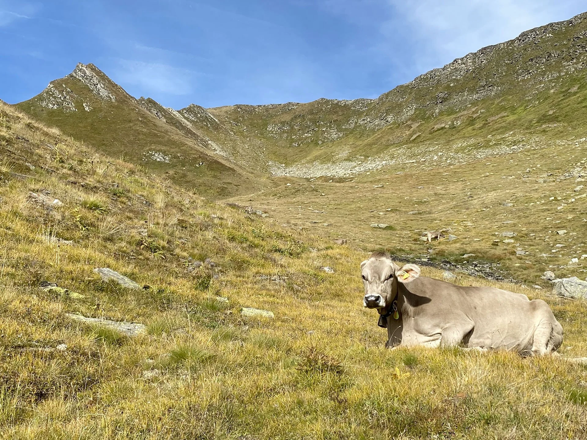 18 – Val Canariscio