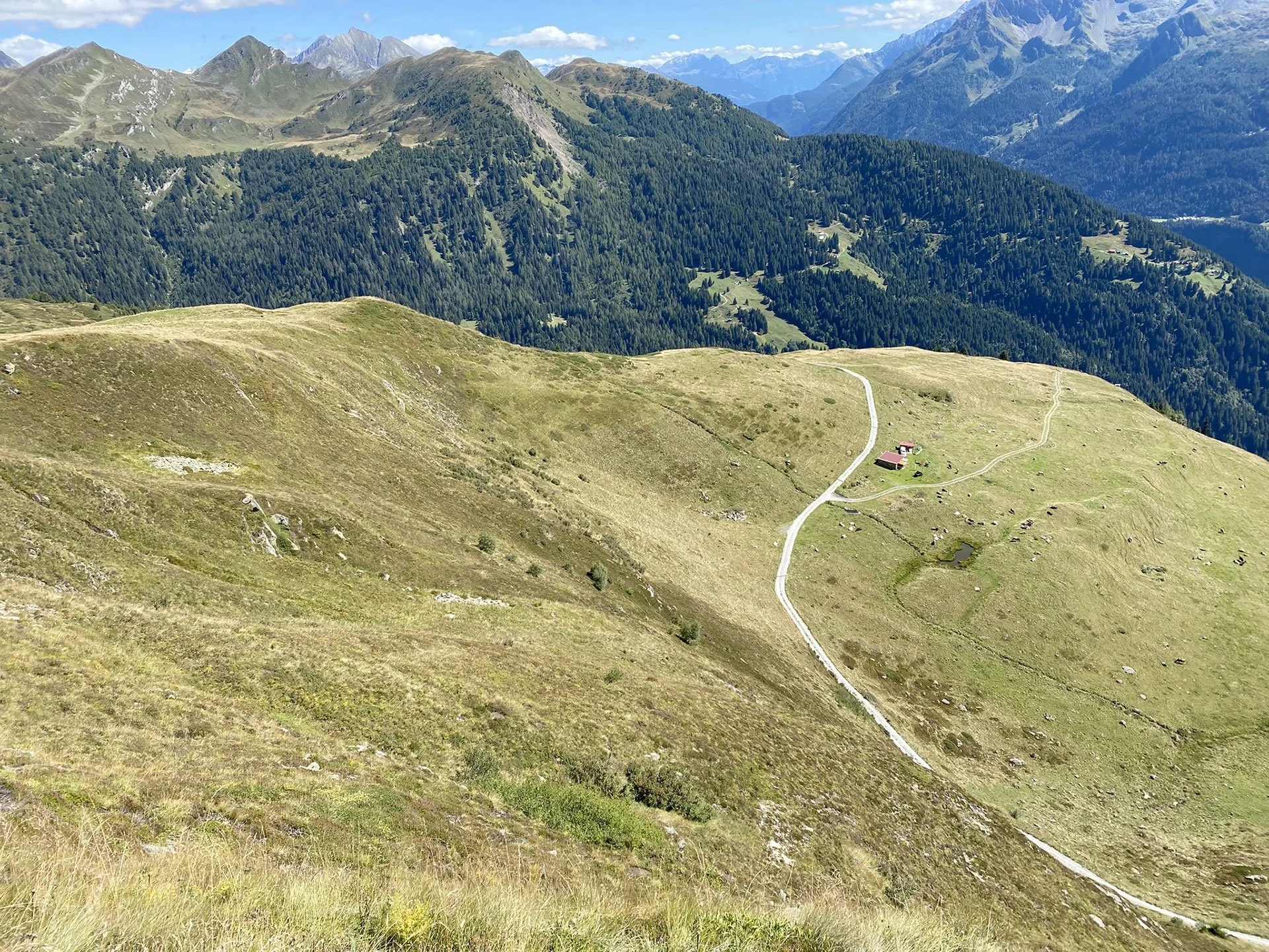 15 – Buco di Pontino