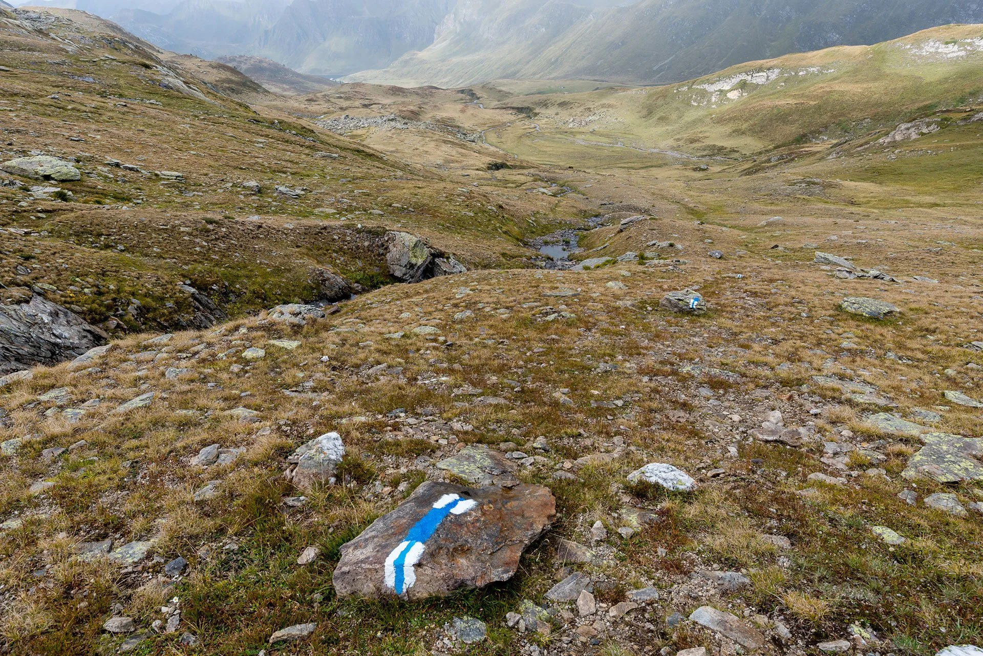 41 – Léi Pècian - Carorescio