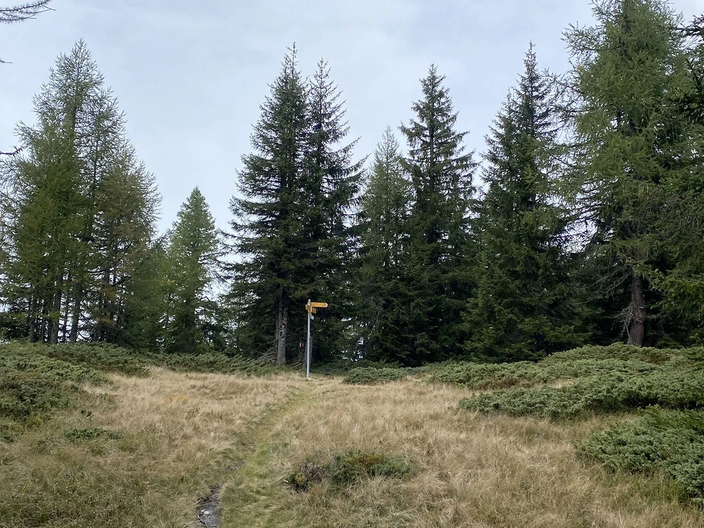 2 – Bassa dei Cantoi