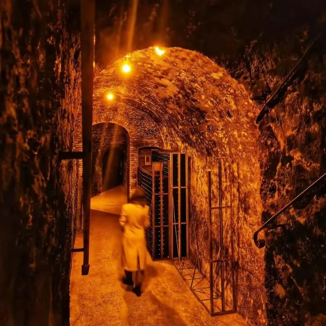 WhatsApp Image 2025-08-26 at 11.54.02_623f3740.jpg