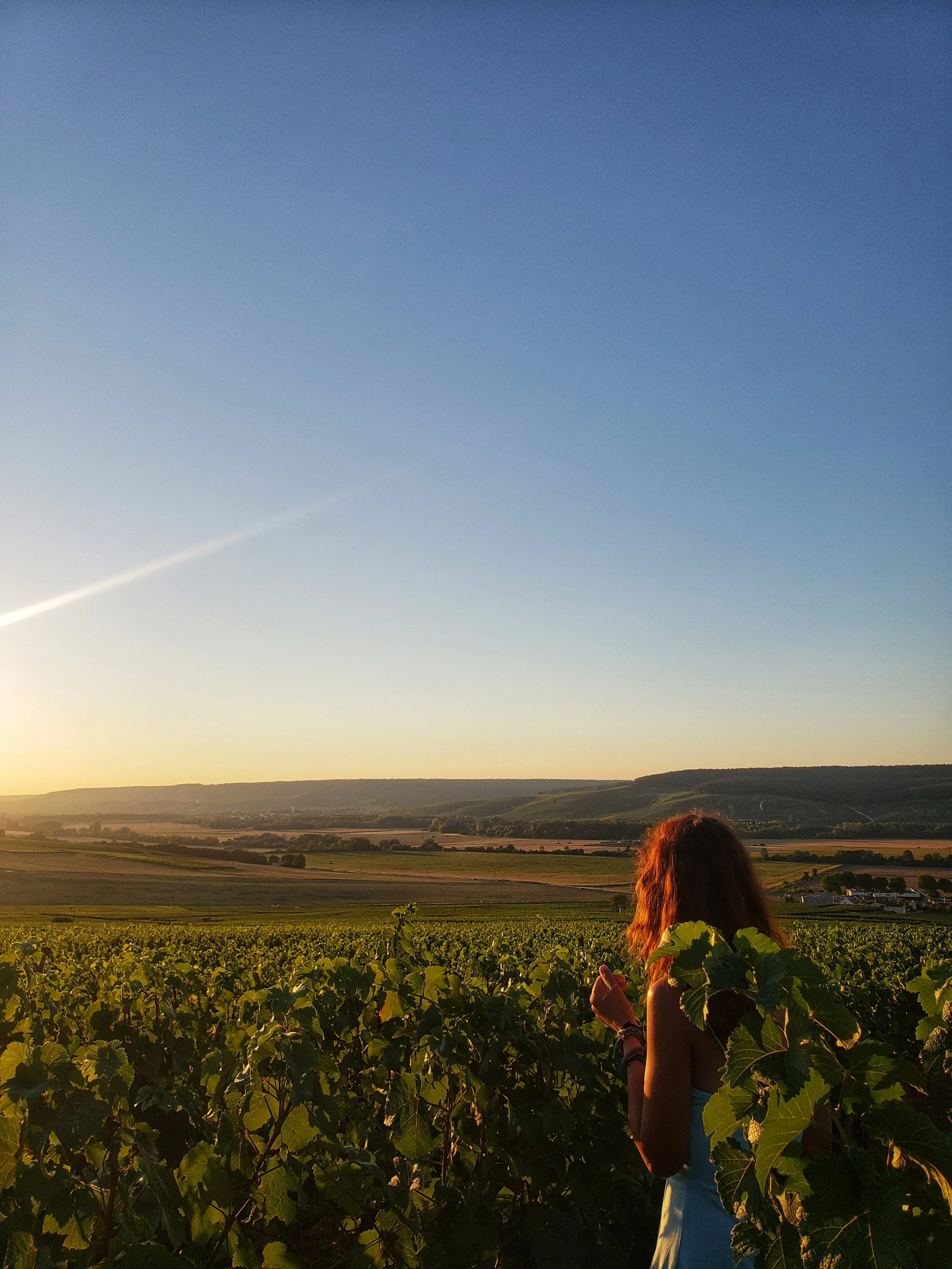 Sunset Walk in Epernay with Wine and Wonderlust