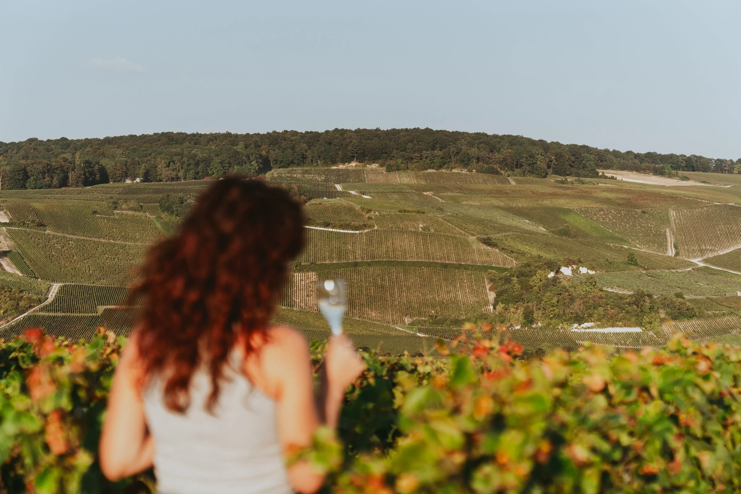 Woman with curly hair holding a glass of wine in a vineyard, overlooking rolling hills and vineyards.