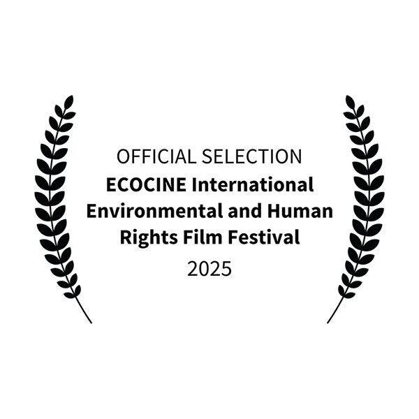 "Weight of Stone" awards