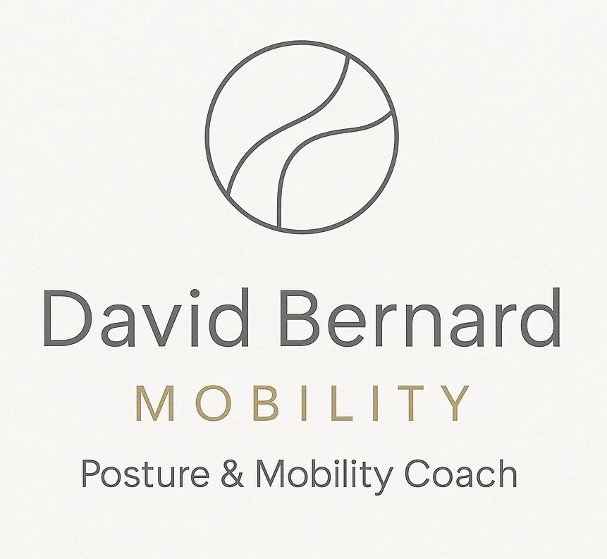 David Bernard Mobility