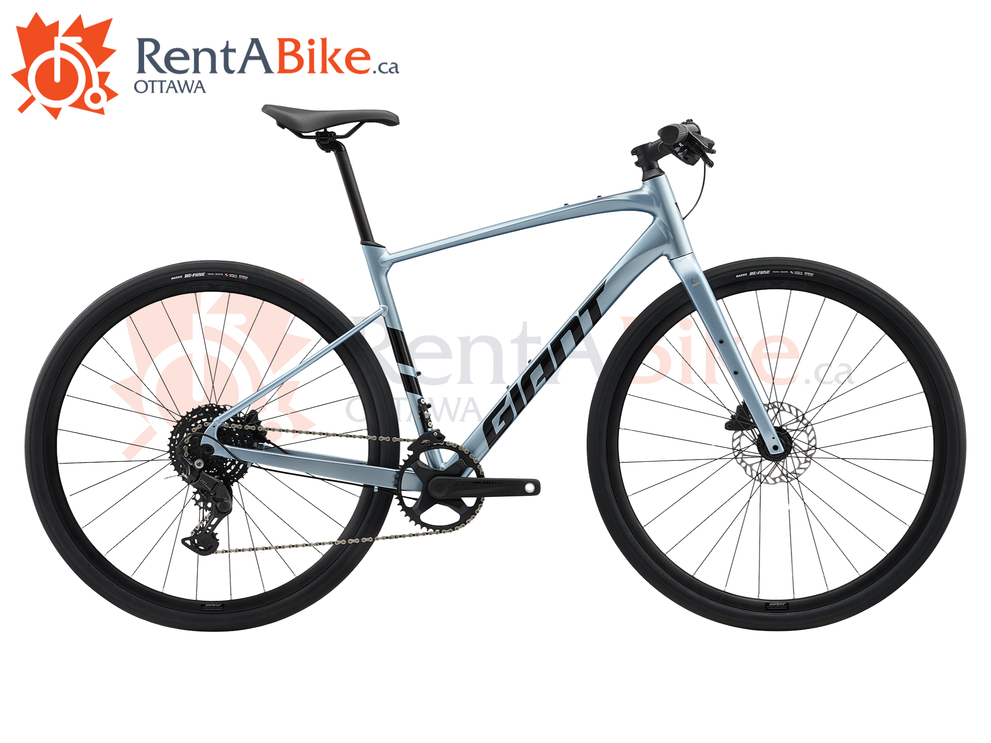 Rent a bike, giant fastroad, performance flat-bar bike