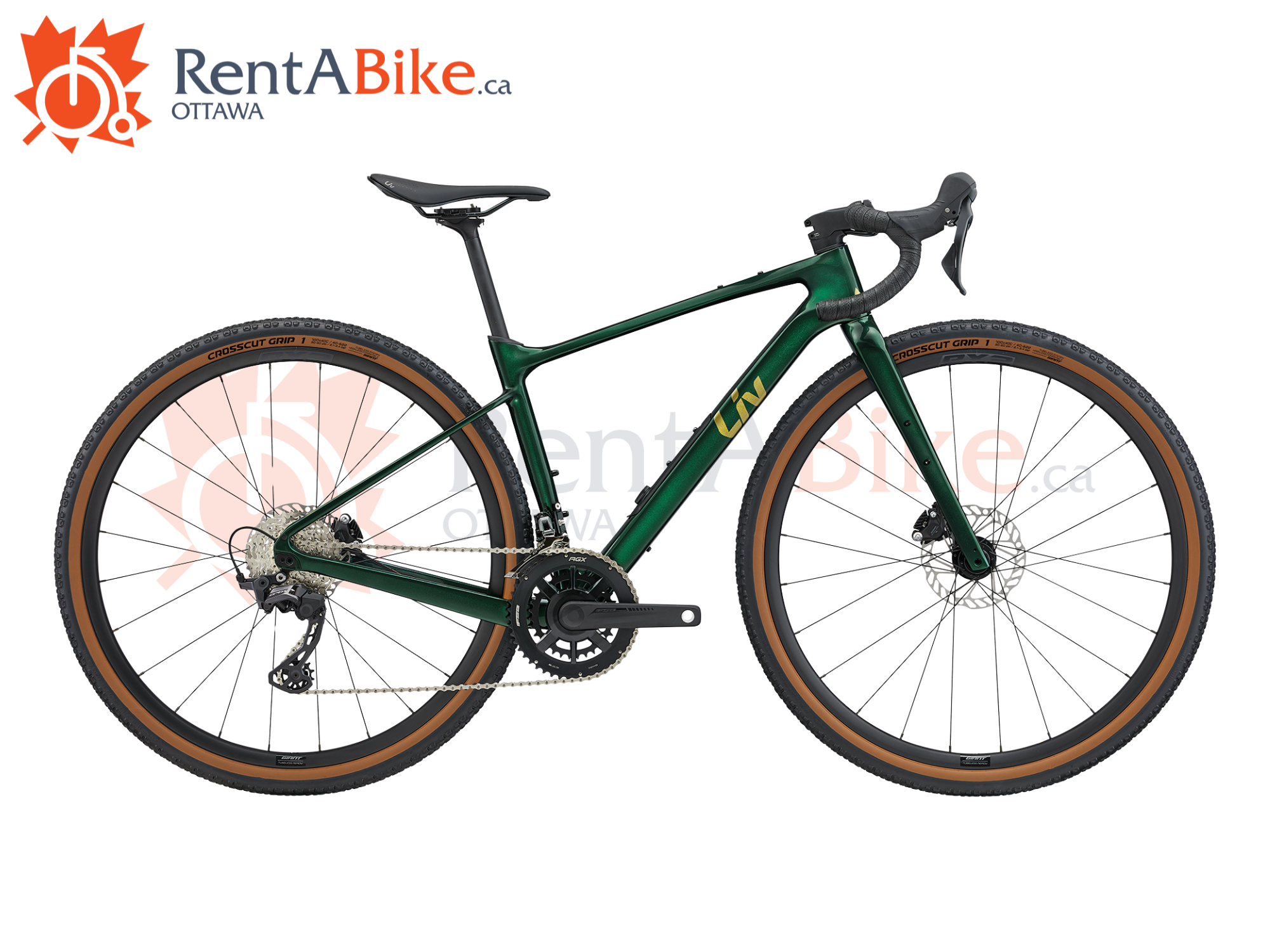 Rent a bike,  women's carbon gravel bike, gravel bike women, Liv devote ad 2