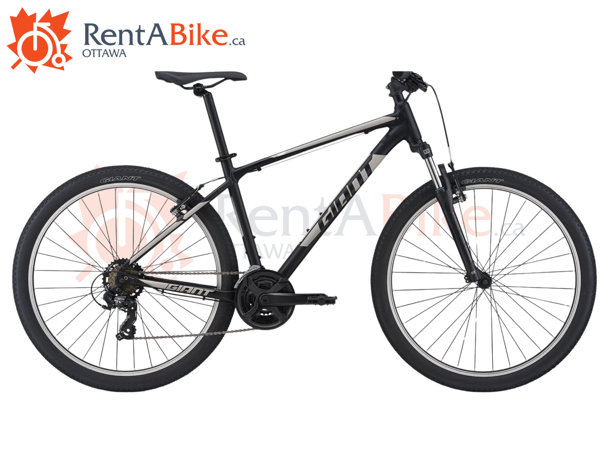 Rent a bike, kids bicycle, giant ATX 26"