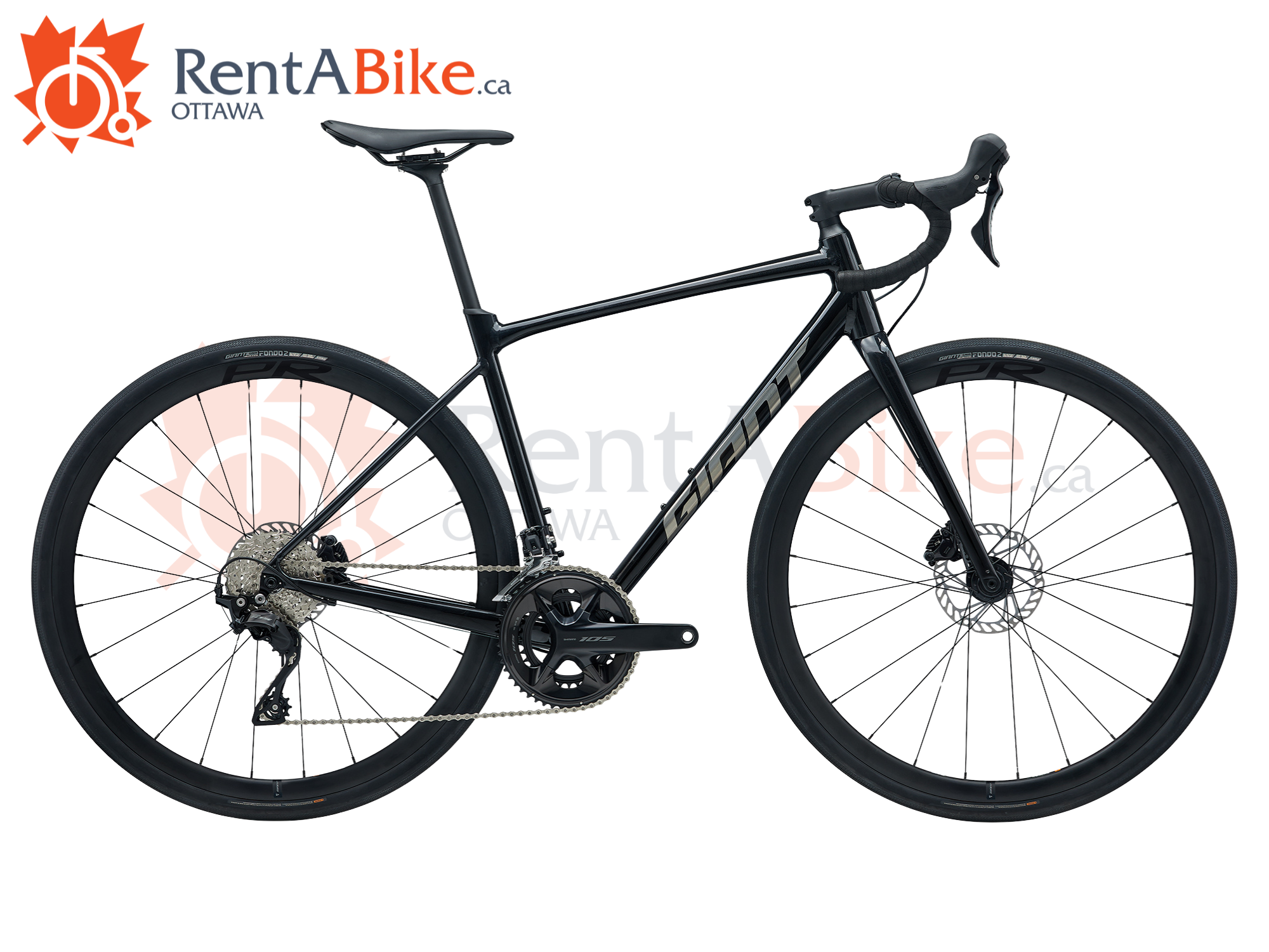 Rent a bike, performance aluminum, Giant Contend Ar 1