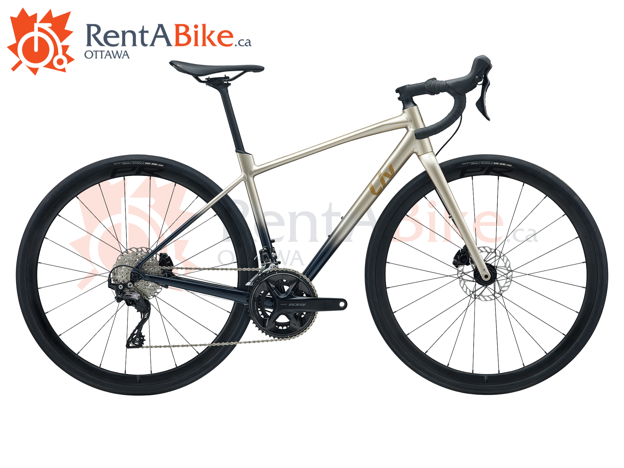 Rent a bike, aluminium road bike, Liv avail