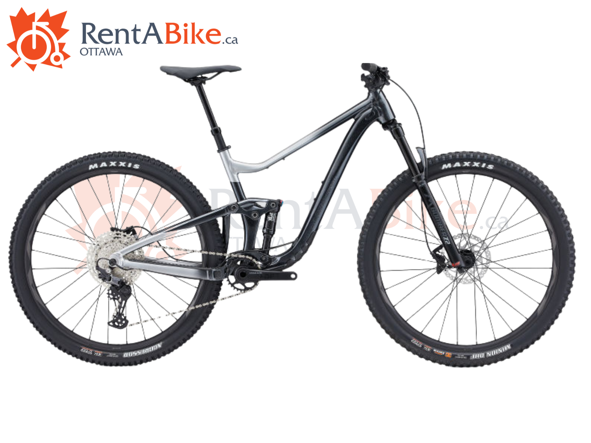 Rent a bike, full-suspension, giant trance 1