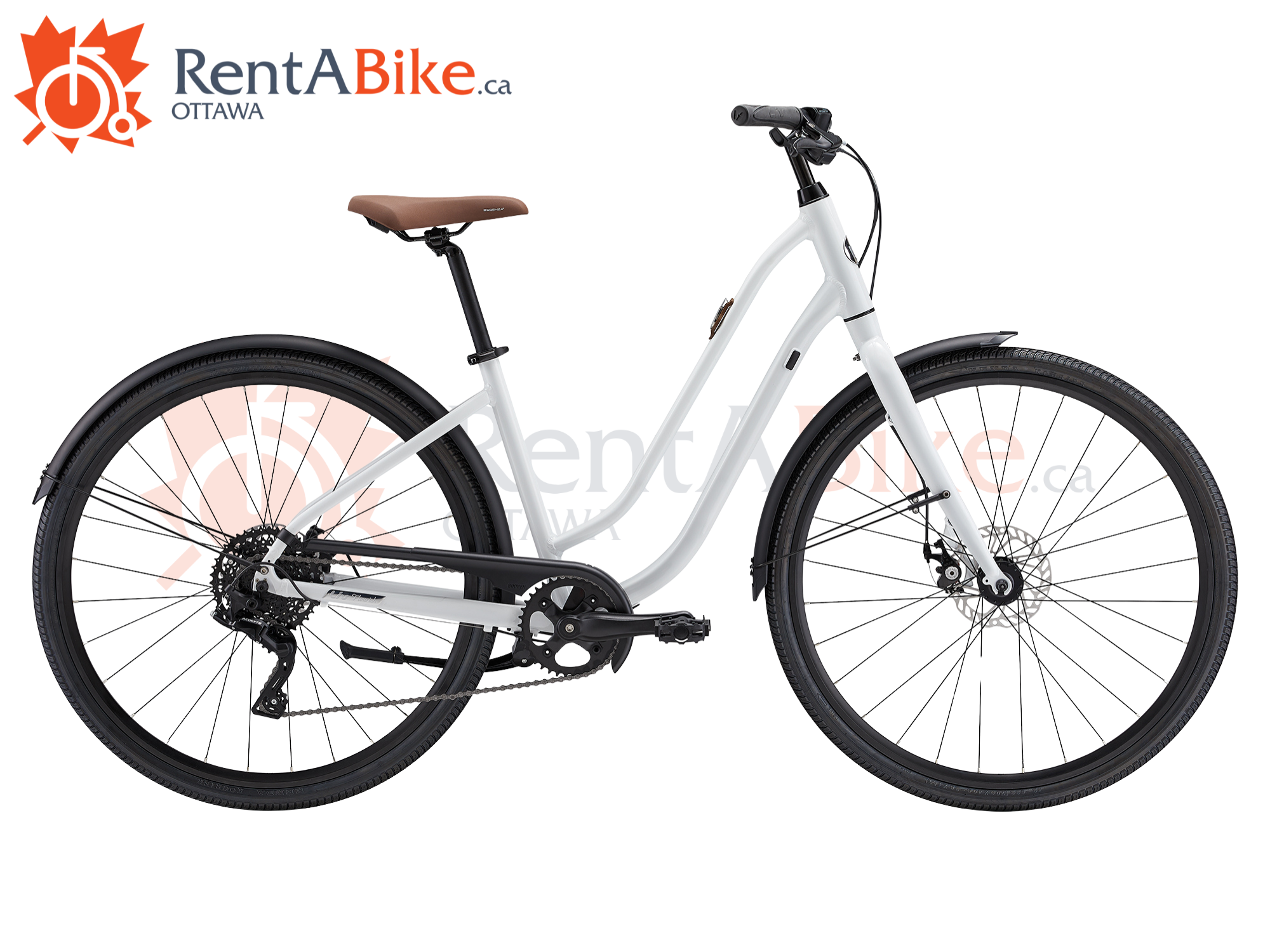 Rent a bike, Liv Flourish