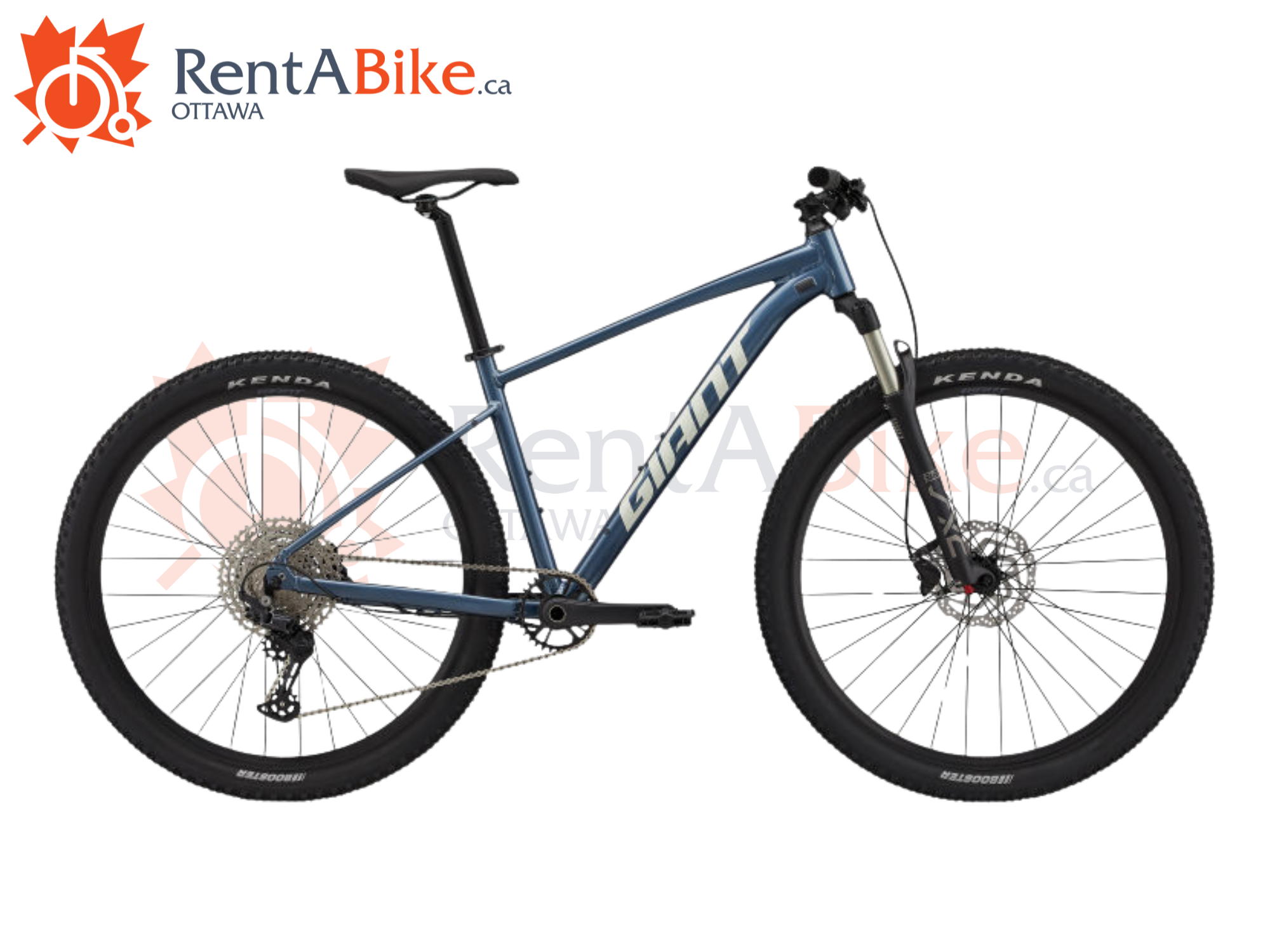 Rent a bike, hardtail mountain bike, giant Talon 0