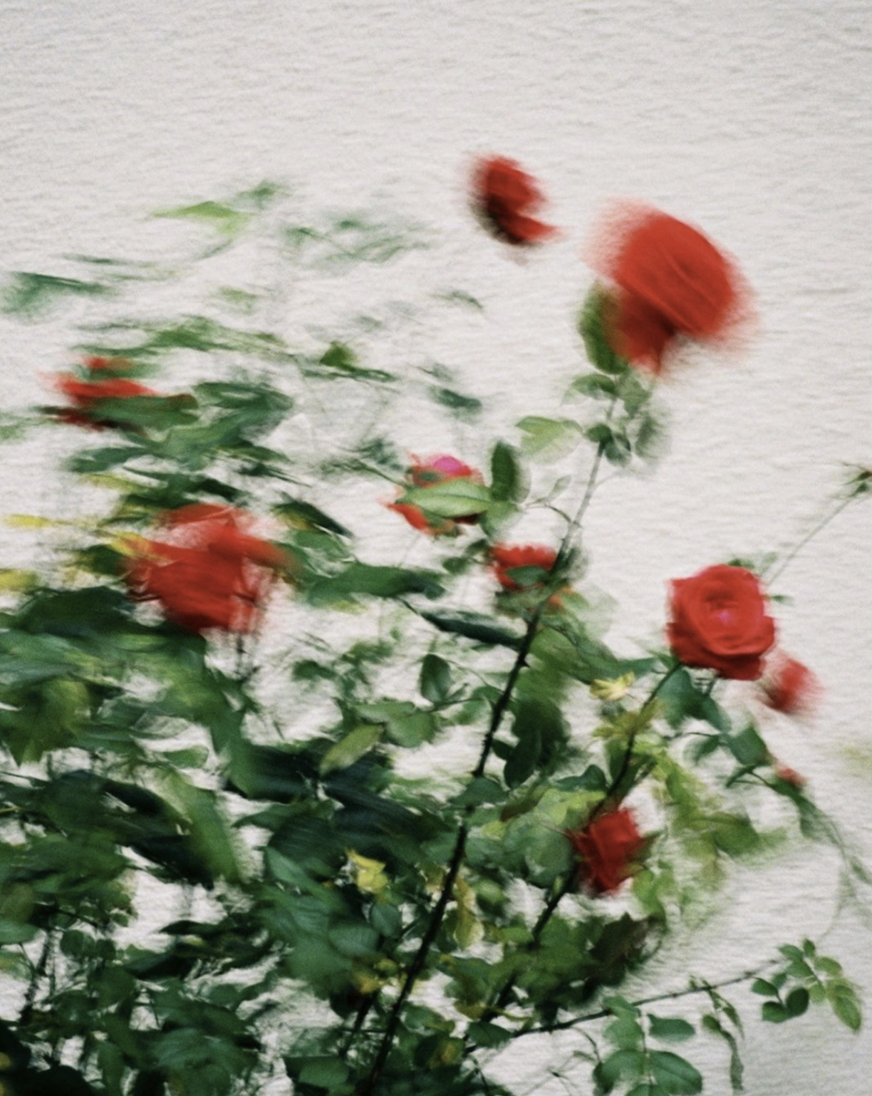 Screenshot 2026-04-09 at 20.06.54.png