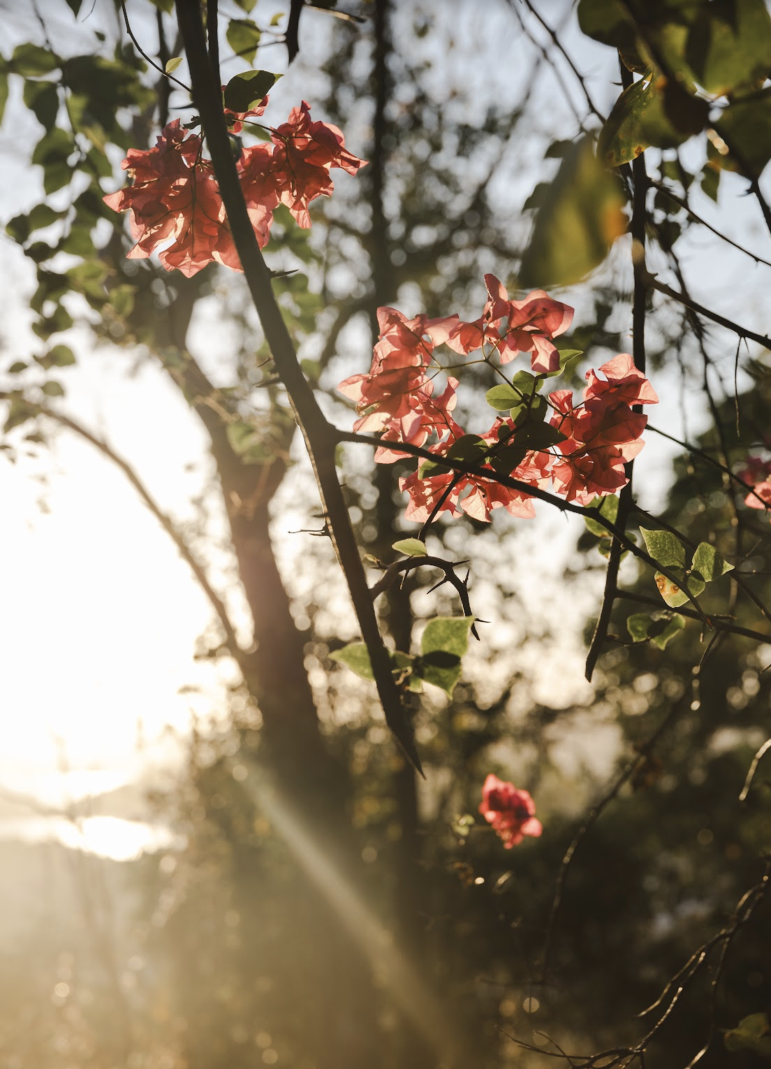 Screenshot 2026-04-09 at 21.07.17.png