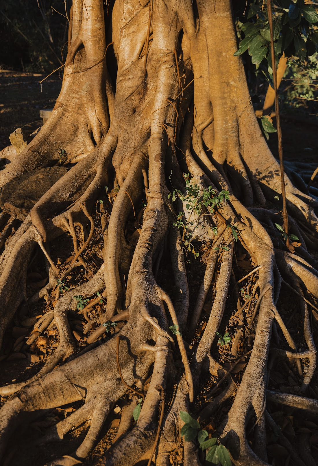 Screenshot 2026-04-15 at 10.21.28.png