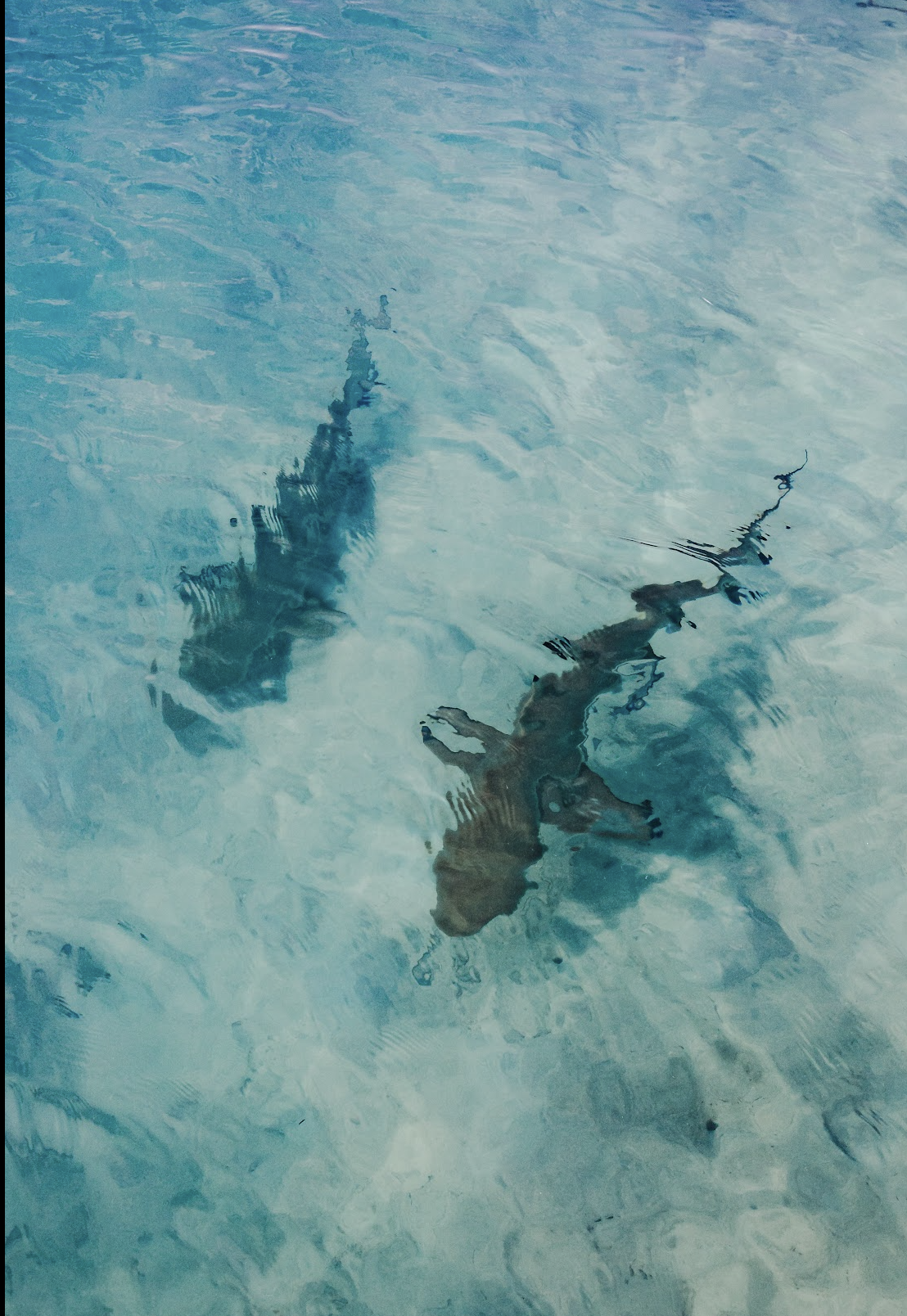 Screenshot 2026-04-15 at 10.21.45.png