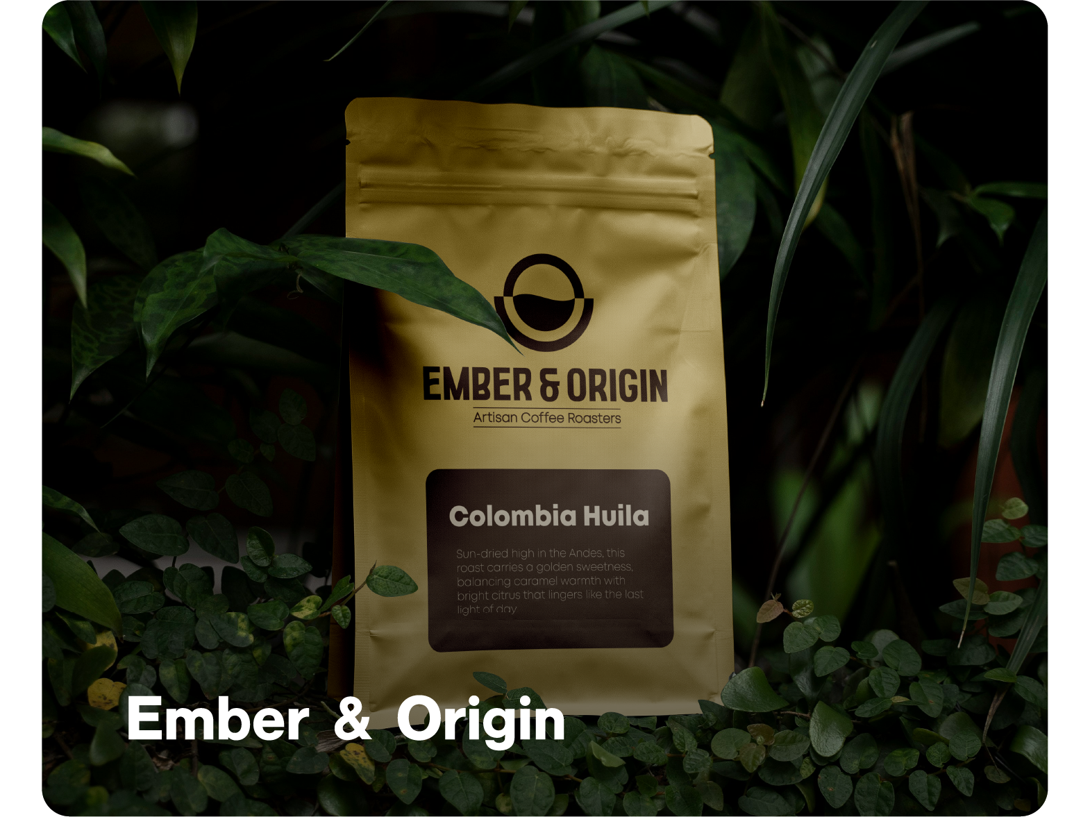 Ember & Origin - More Projects@4x.webp