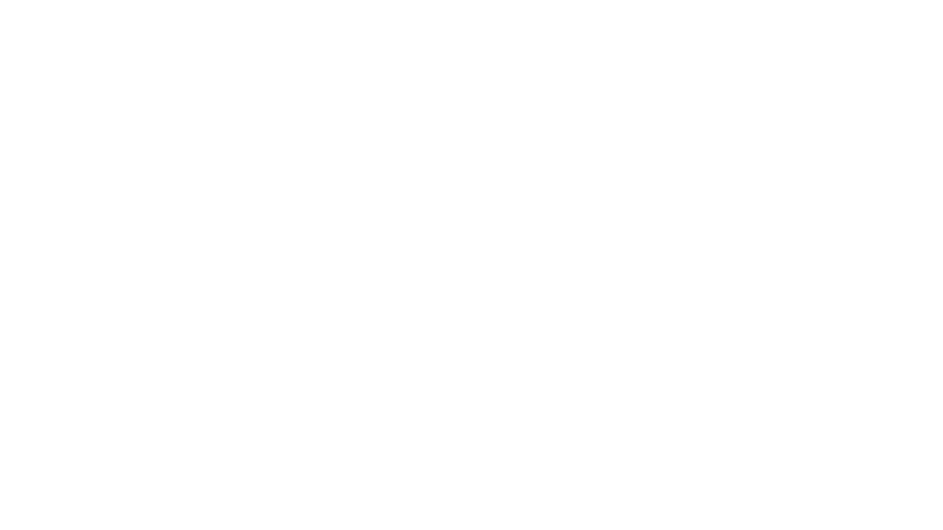 RTE Logo