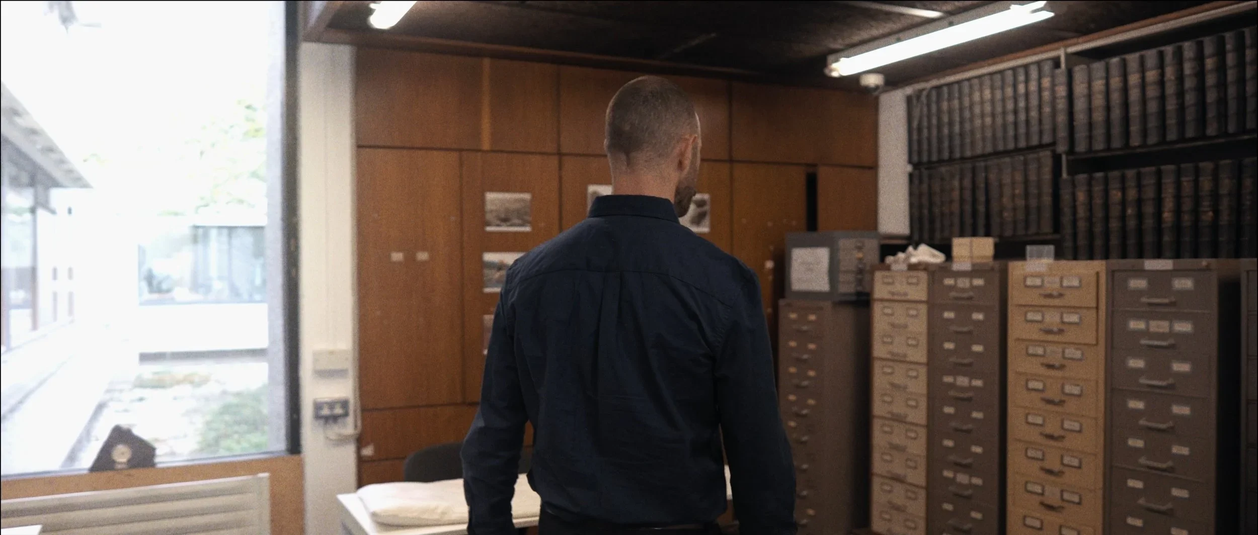 MoLI - Into the Island