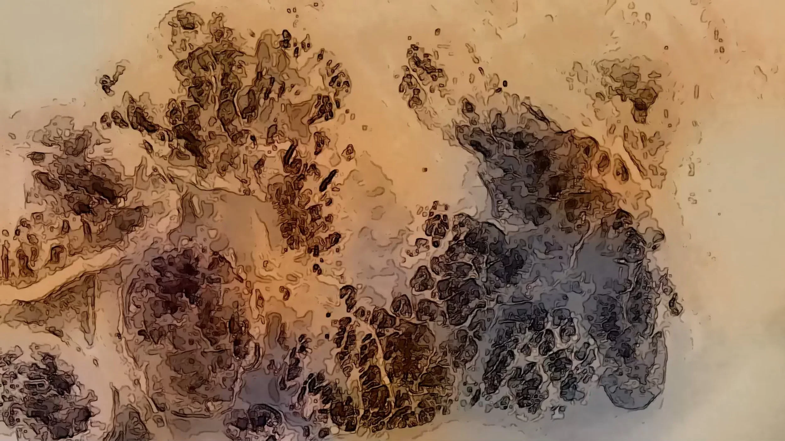 Ergodos - One Thing I Know