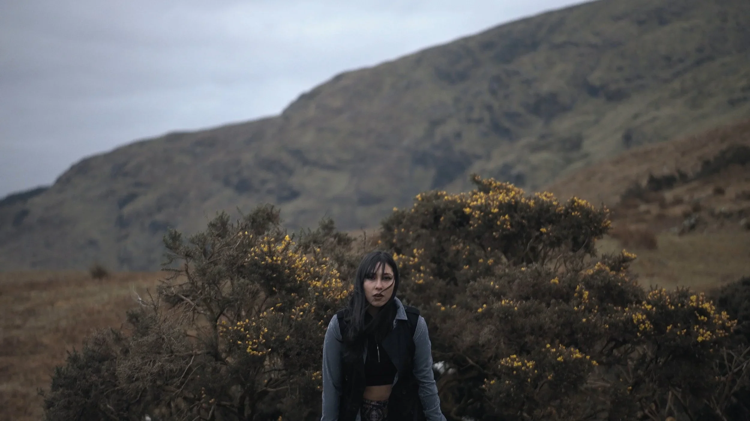 MoLI - Love Says Bloom