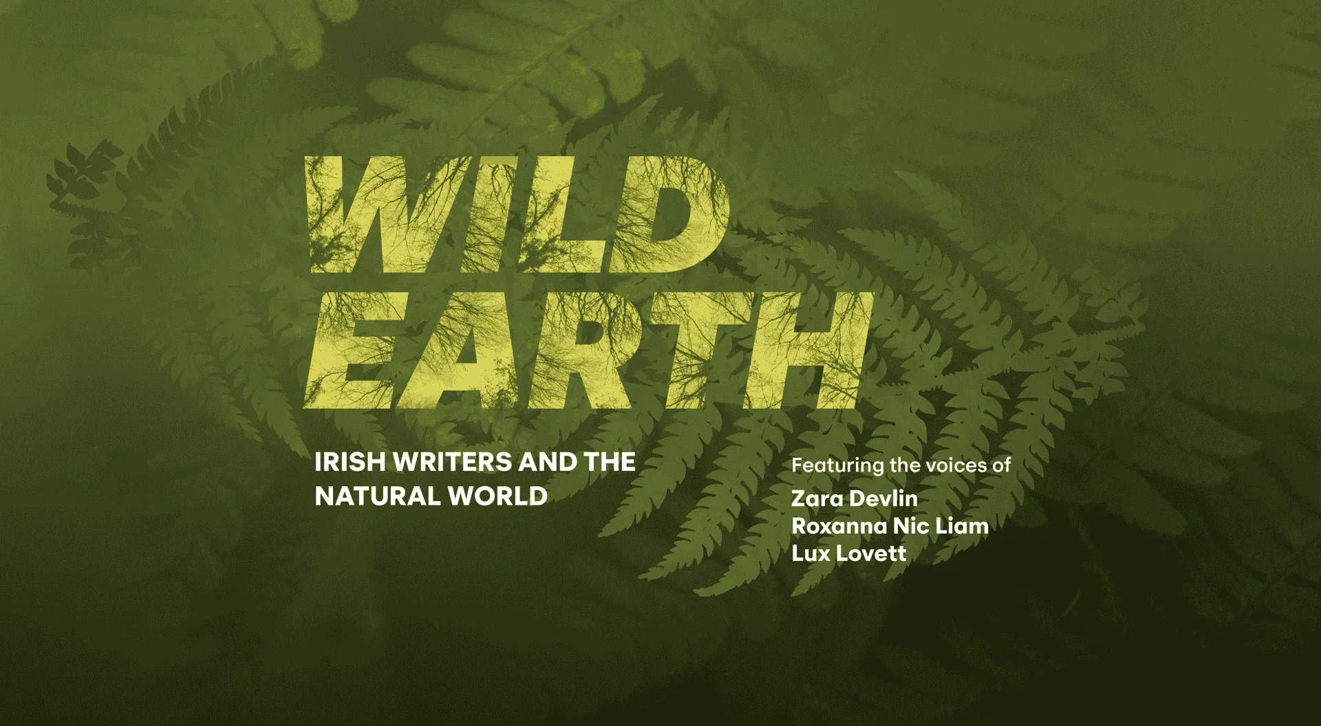 [t]Wild Earth[/t] [c]Film Installation[/c]