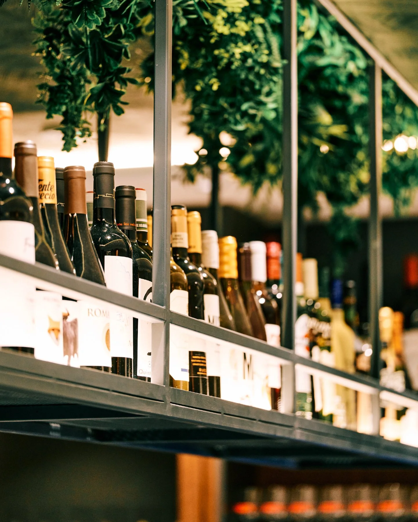 Una copa de vino
a la hora que apetece.

Sin normas.
Sin excusas.
Solo porque s&iacute;.

A veces es todo lo que hace falta.