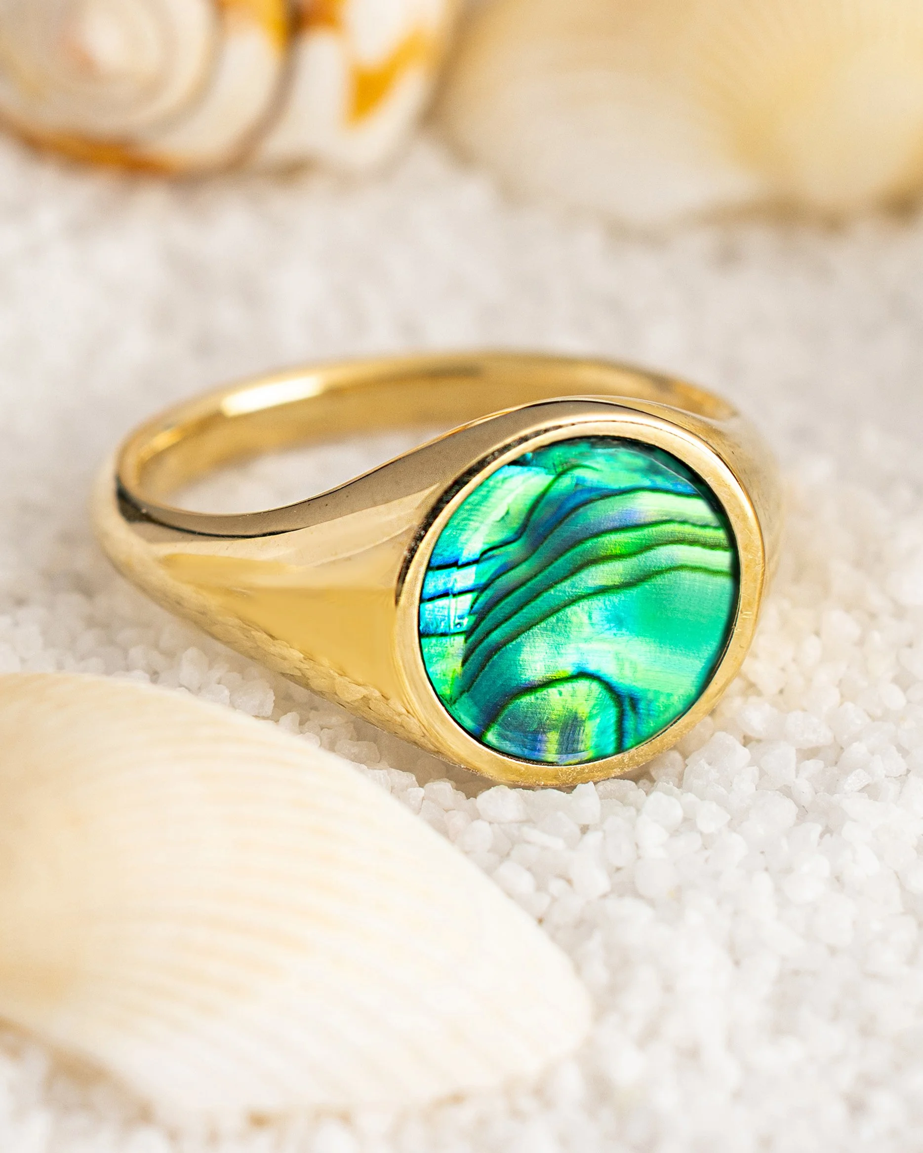 green abalone_4x5.jpg