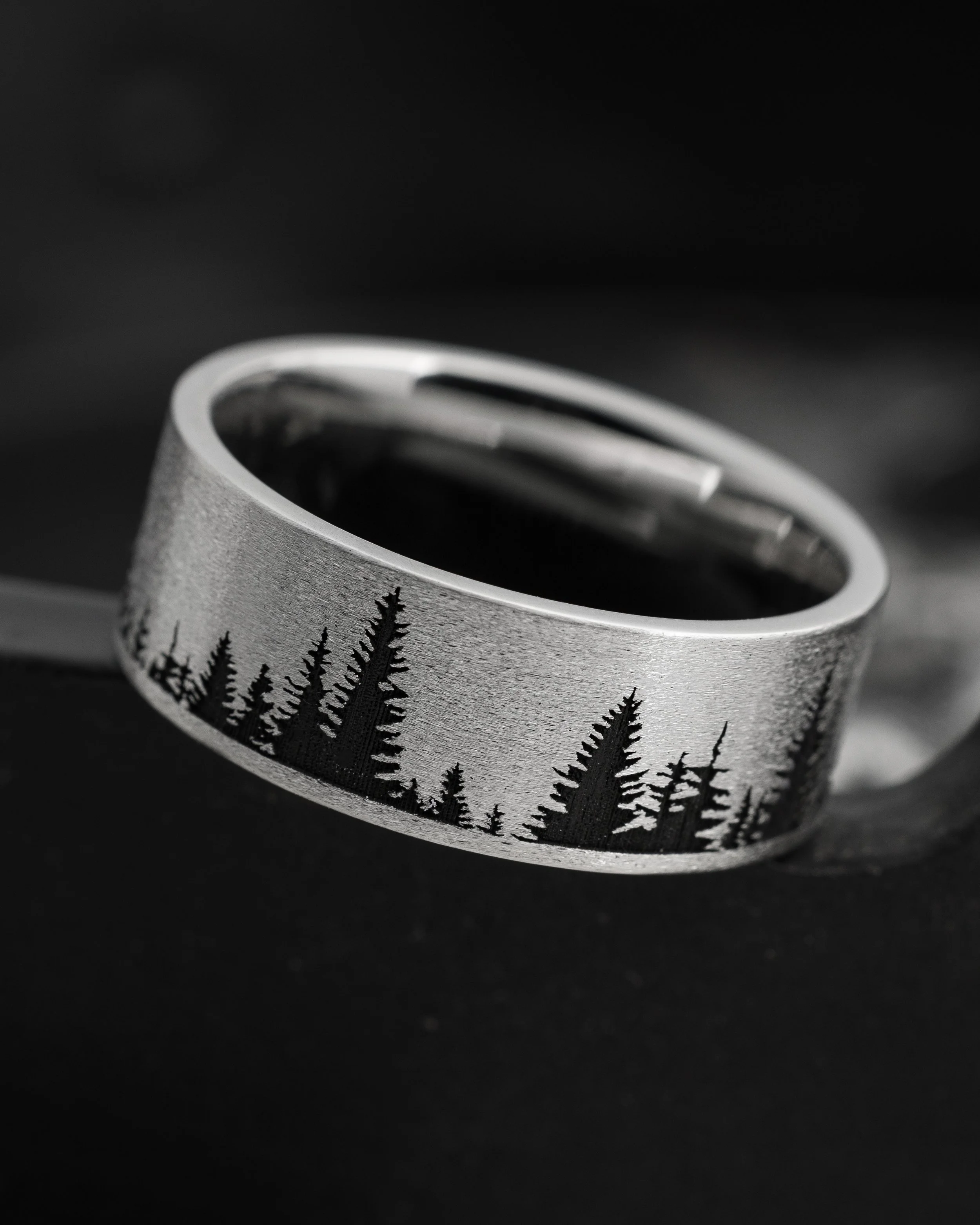 cc_stone_trees_black cerakote_magic number 048-ECB9_4x5.jpg