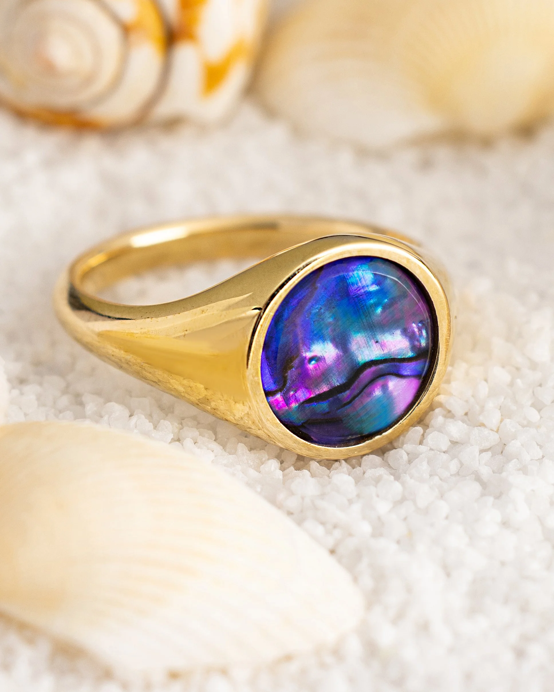blue purple abalone_4x5.jpg