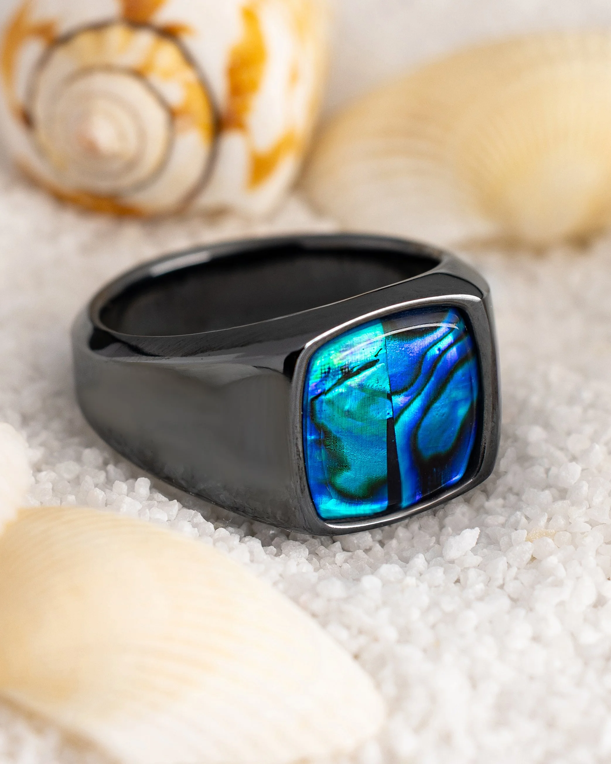 blue abalone_4x5.jpg