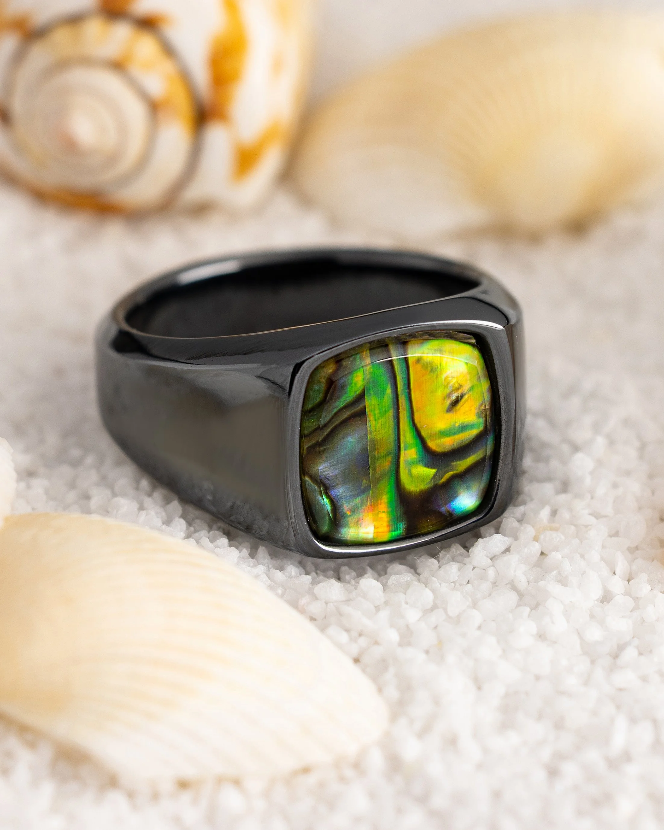neon abalone_4x5.jpg