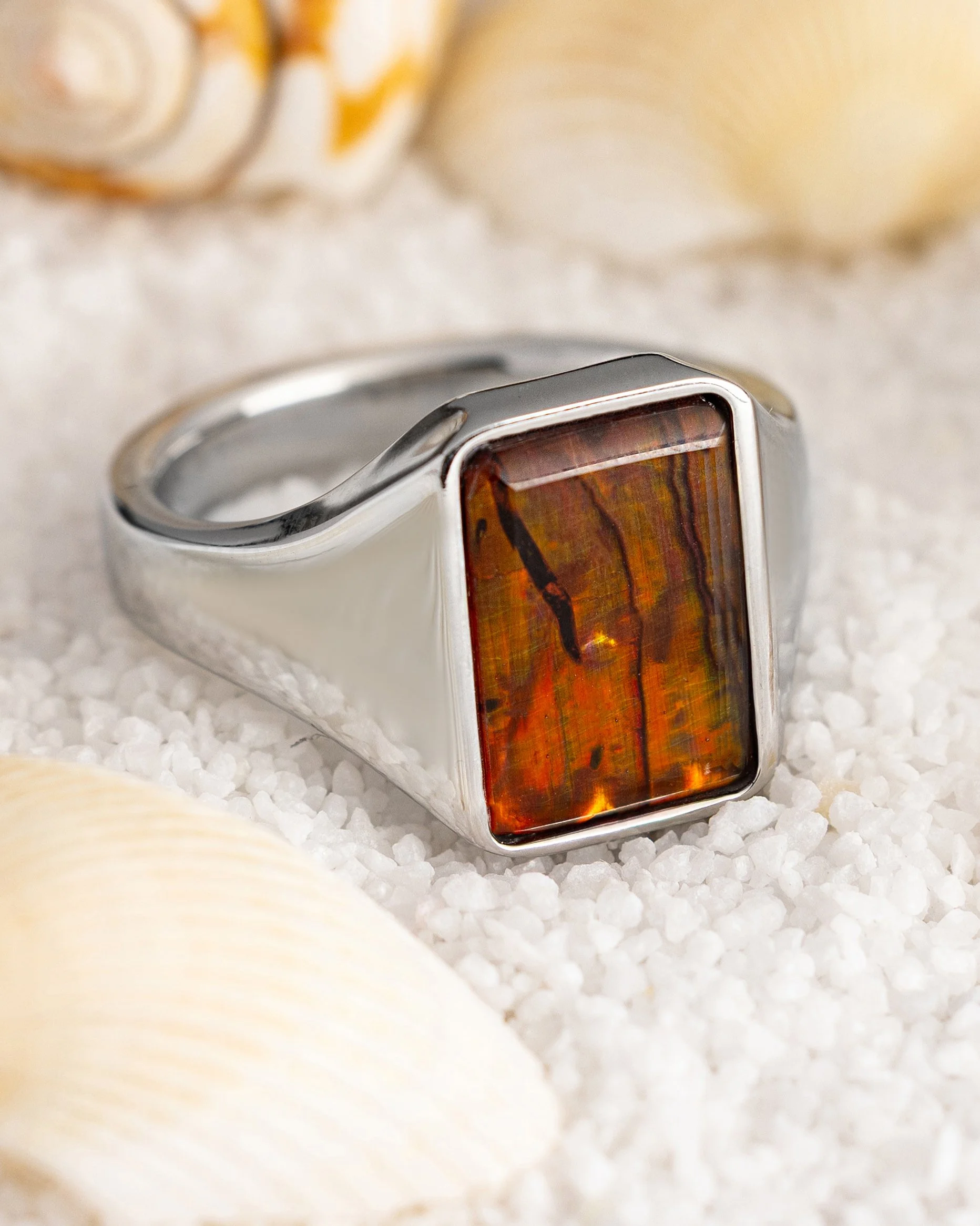 bronze abalone_4x5.jpg