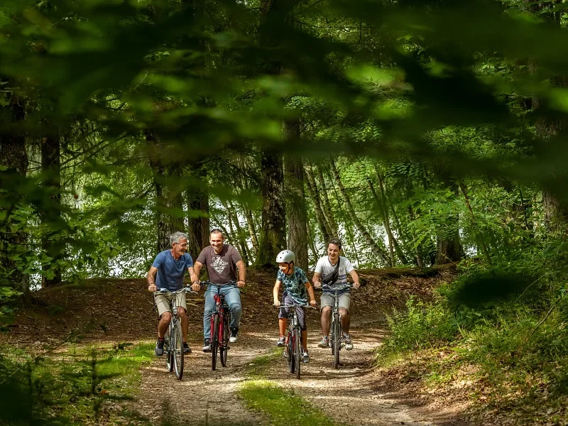 Balades & itinéraires à vélo en Sologne