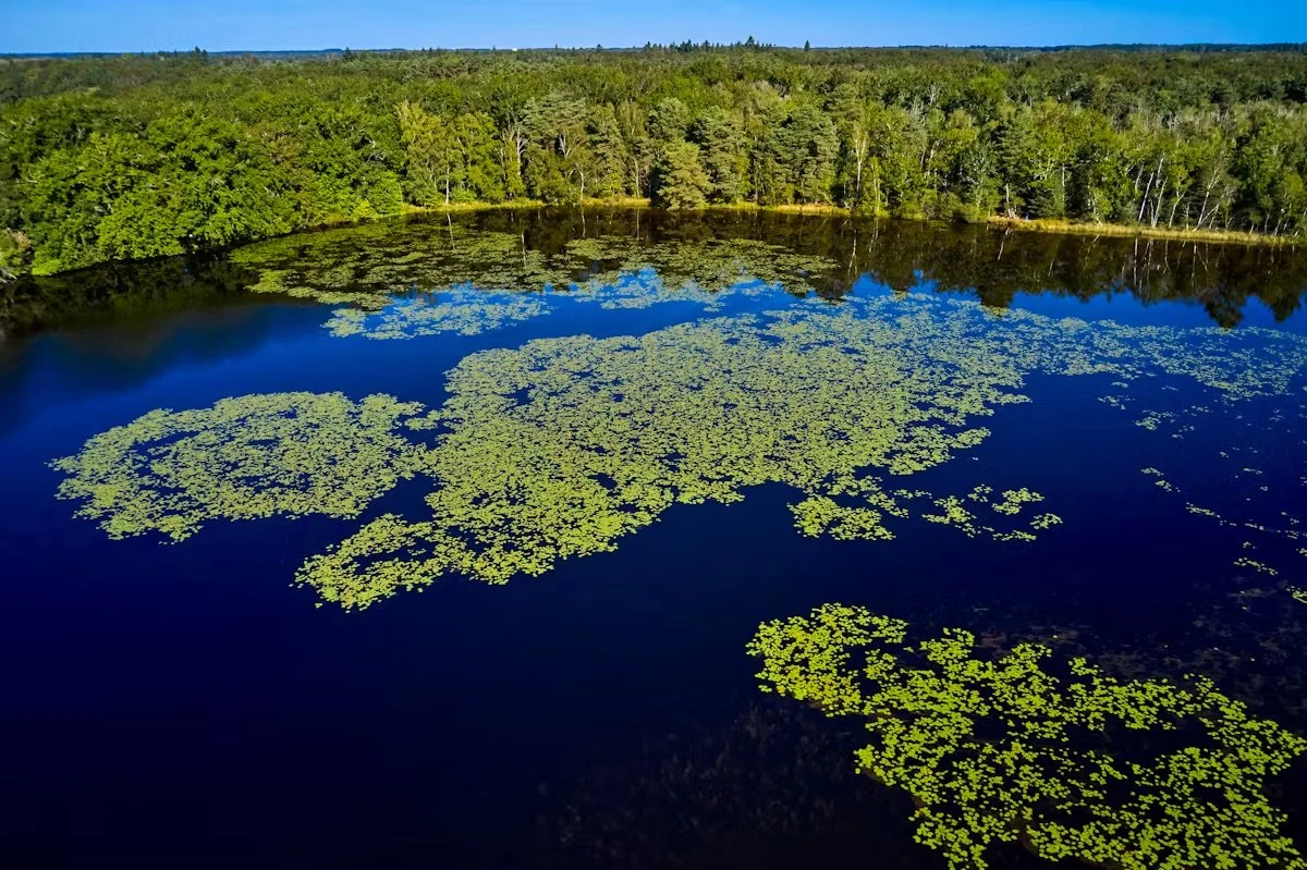 Randonnées & balades à pied en Sologne