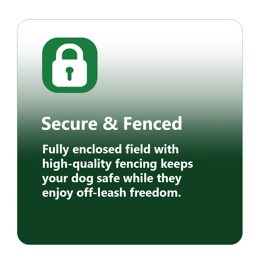 Secure & Fenced.png